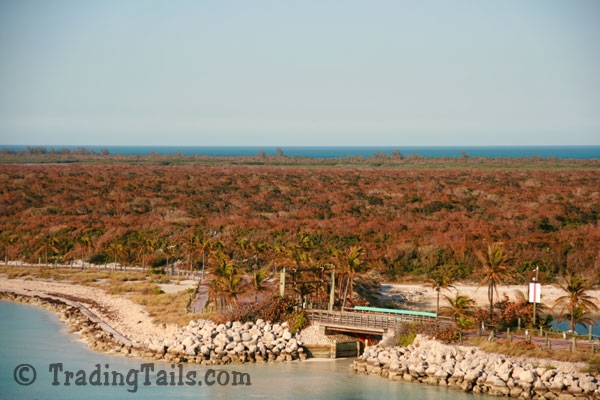 /Info_Pages/I__35-312201345838PM__CastawayCay50.jpg